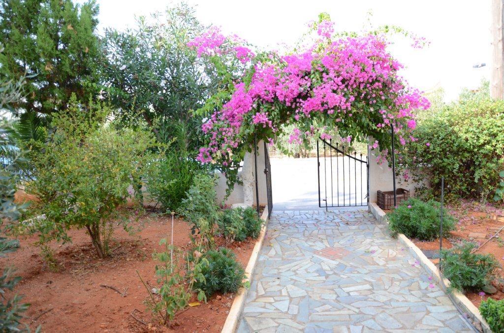 Alex Home Apartments Limenas Chersonisou Exterior foto